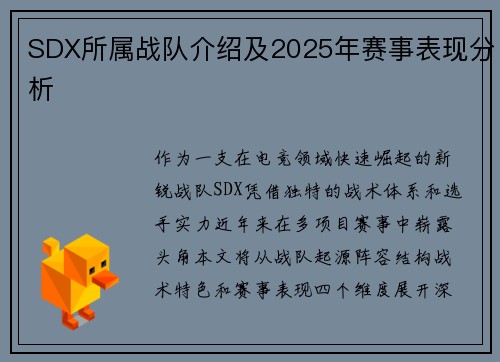 SDX所属战队介绍及2025年赛事表现分析